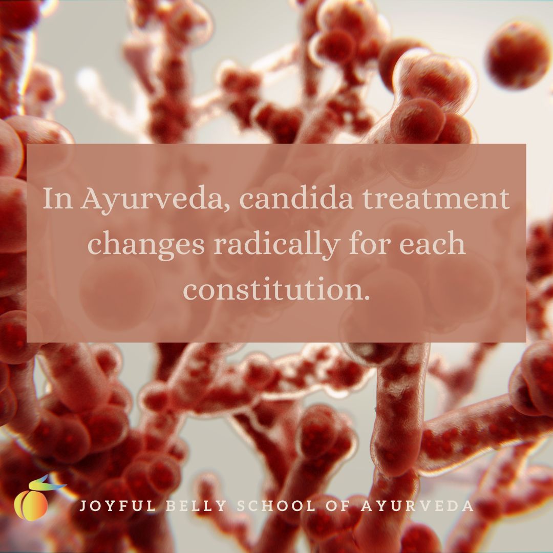 Ayurveda's Unique Approach to Candida - Joyful Belly